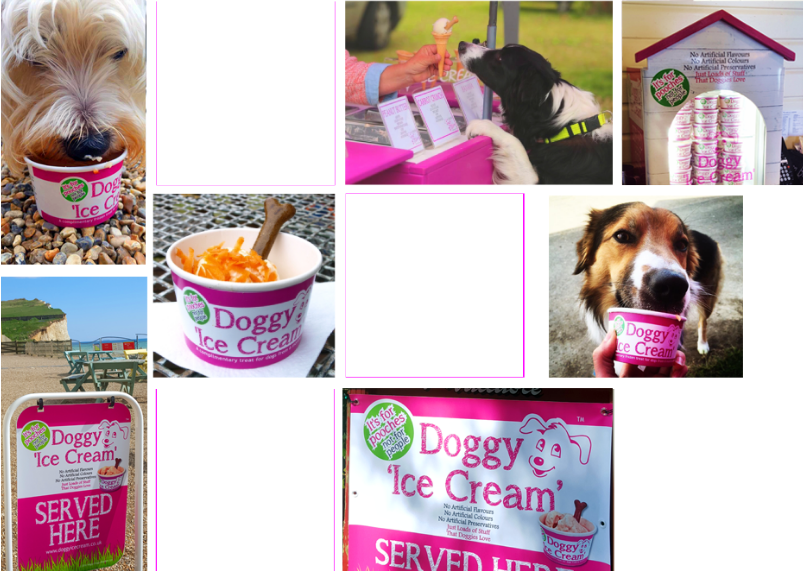 waggy doggy ice cream